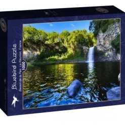 Bluebird Puzzle Puzzle Bassin de la Paix, La Réunion, France