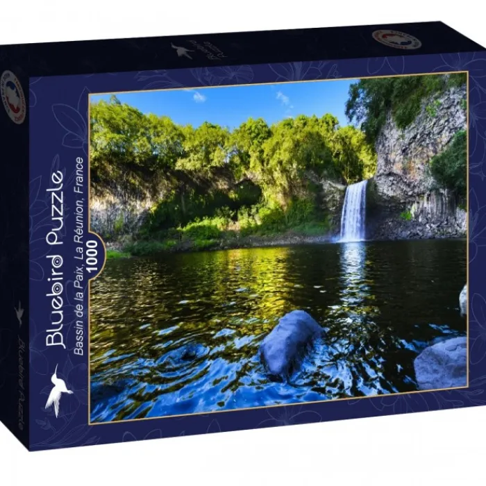 Bluebird Puzzle Puzzle Bassin de la Paix, La Réunion, France