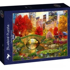 Bluebird Puzzle Puzzle Central Park NYC