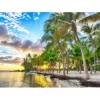 Bluebird Puzzle Puzzle Guadeloupe - Anse Champagne