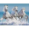 Bluebird Puzzle Puzzle Horse Paradise