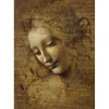 Bluebird Puzzle Puzzle Leonardo da Vinci - La Scapigliata, 1506-1508