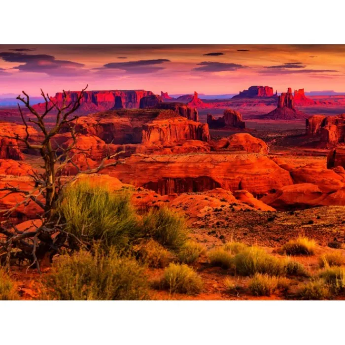 Bluebird Puzzle Puzzle Monument Valley