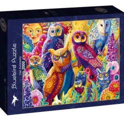 Bluebird Puzzle Puzzle Owl Autonomy