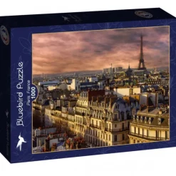 Bluebird Puzzle Puzzle Paris, France