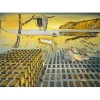 Bluebird Puzzle Puzzle Salvador Dalí - The Corpuscular Persistence of Memory, 1952-1954