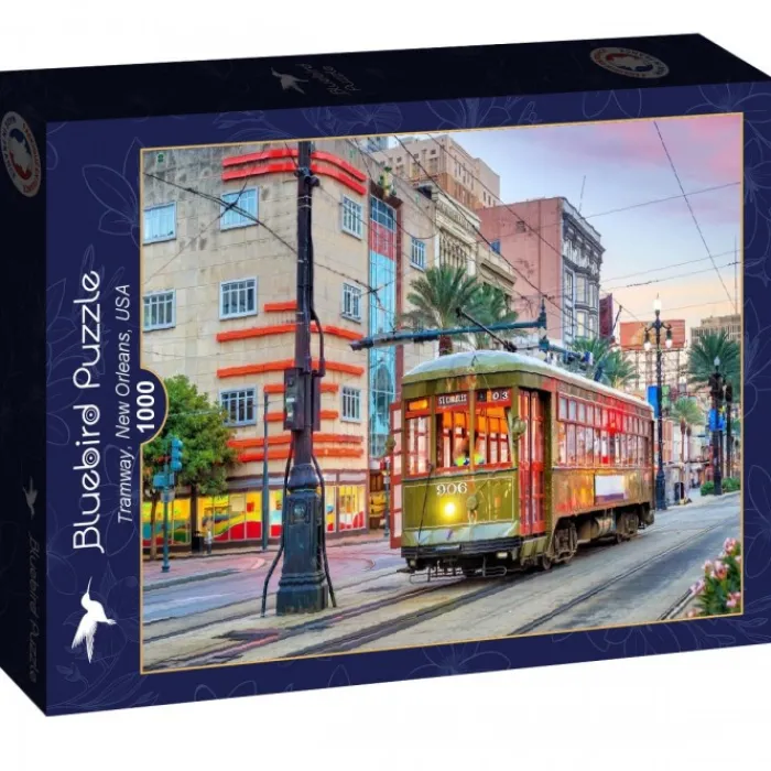 Bluebird Puzzle Puzzle Tramway, New Orleans, USA