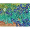 Bluebird Puzzle Puzzle Vincent Van Gogh - Irises, 1889