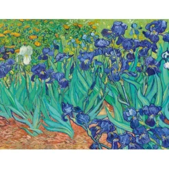 Bluebird Puzzle Puzzle Vincent Van Gogh - Irises, 1889