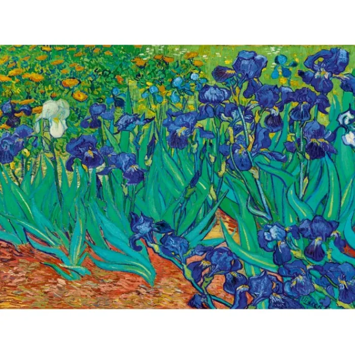 Bluebird Puzzle Puzzle Vincent Van Gogh - Irises, 1889